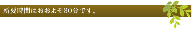 所要時間はおおよそ30分です。