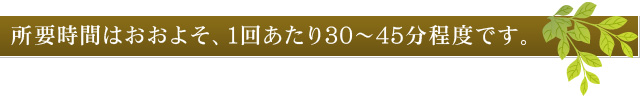 所要時間はおおよそ、1回あたり30～45分程度です。